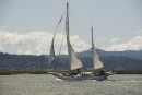 Sailing in SF Bay