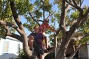 Mason & Ben in the posing tree.