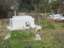 Just thought this was cute - a baby goat coming out of headstone