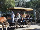 Carriages galore touring Charleston 101611