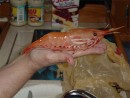 Big-Shrimp-01: Shrimp?  I think not!