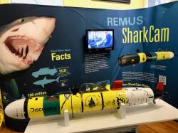 The REMUS shark cam, another WHOI creation: ...self explanatory. The marks on the device are actually from the teeth of a Great White that tried to take a bite off it... that must have hurt even the shark...