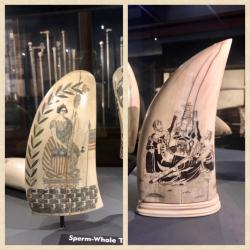 Some fine examples of scrimshaw: artwork created by whalers on teeth, bones or other unused parts of the whales, mostly during the long trips back home, after the whole hunting, rendering and "Dirty Jobs" part of whaling was done. Nantucket Whaling Museum.
