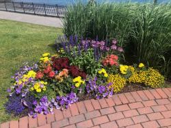 Pretty flower bed in Bar Harbor.