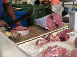 Stocking up in fresh tuna at the fish market in St. George