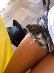 I feel a little like St. Francis...: This little bird was having a hard time flying, maybe a wound or other trauma...it could only stay in the air for a short time and took breaks resting on whatever surface was available to him, including... my leg. Glad to have been of help! Would have done more but it flew away again... at a restaurant in Bequia.