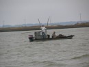 Oyster fishermen in Apalachicola Bay