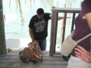 Marquis hauls up a bunch of conch for our lunch. I don