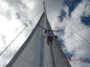 Dave up the mast 