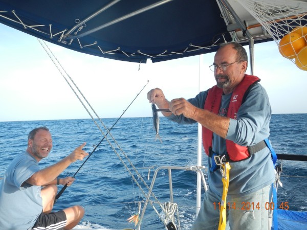 Baiting the hook with "fresh" flying fish