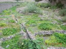 River bed formed into garden plots