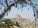 Panoramic view with blue glass "evil eye" disks hanging decoratively from tree 