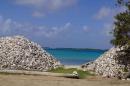 Conch shells pile in Lac Bay