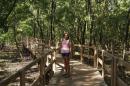 On the Bridge in Mangrove Park
