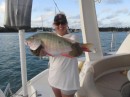 Minutes later, mutton snapper #2.