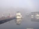 Waiting out the fog: Grand Harbor Marina, Pickwick