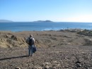 Overlooking Turtle Bay