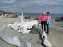 Whale bones in Mag Bay