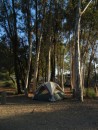Our campground in Sweetwater Reserve in San Diego.