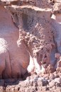 A close up of the pink rock formations