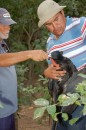 Ian and Roberto helping to save a Frigate bird