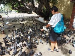 Parque Las Palomas : Un parc célèbre pour son nombre de pigeons.