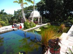 Jardins d’eau , Golden Rock Estate, Nevis: Une Belle brise de l’Atlantique nous rafraîchit pendant qu’on prends le repas sur la terrasse