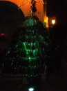 Christmas tree made of wine bottles