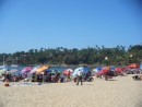 Beach umbrellas