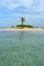 One Palm Island