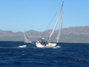 Sound Effect (closest boat) & Intuition sailing int he Sea of Cortez