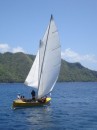Local sail boat