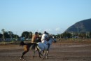 Horse racing in the park