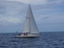 Madonna on the round Bequia race