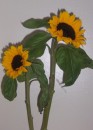 Sunflowers from Gail