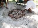Polynesian oven ... in the ground