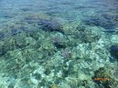 underwater - crystal clear water