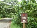 Monkey crossing sign on one of the paths on Bastimentos Island