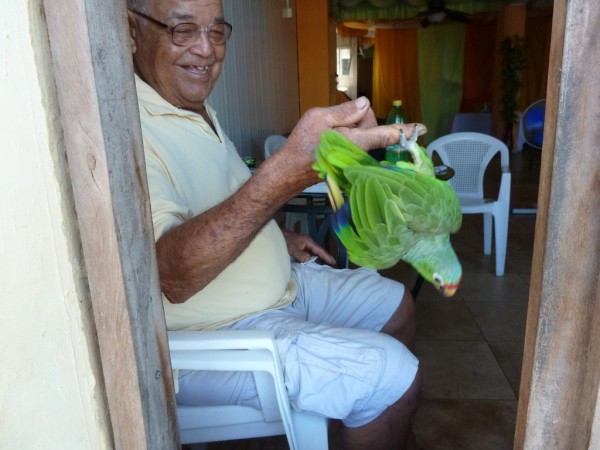 The owner of the Red Lored Amazon parrot playing with it.  It loves to swing upside down on his fingers