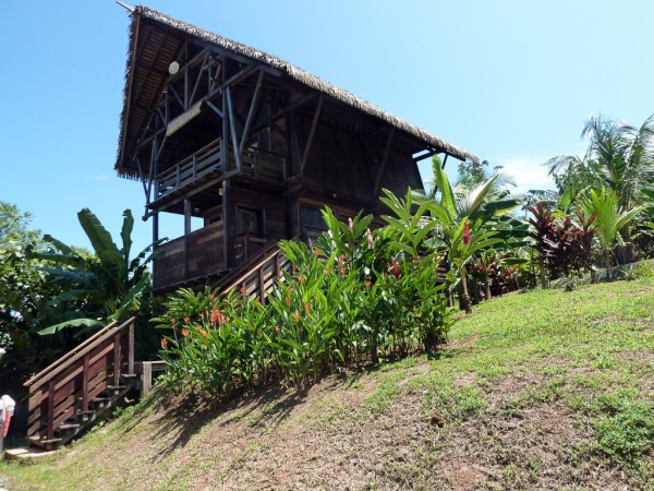 Jungle lodge near the marina