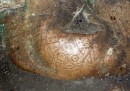 Pictograph in the San Gabriel Cave, Samana Bay.  Notice the unusual pointed head and ears.