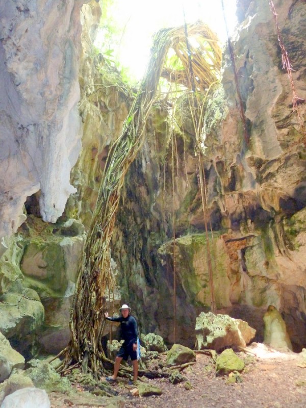 The tree inside the cave.  