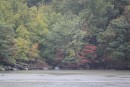 Autumn colours on the Hudson River, New York, USA