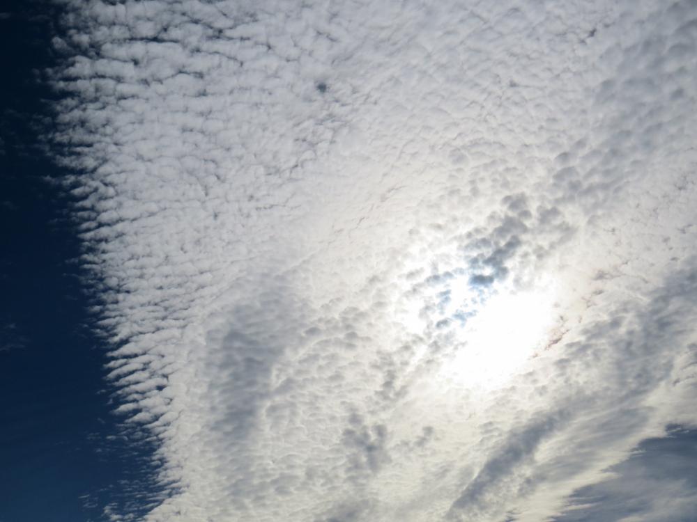 Mackerel sky moving in overhead.