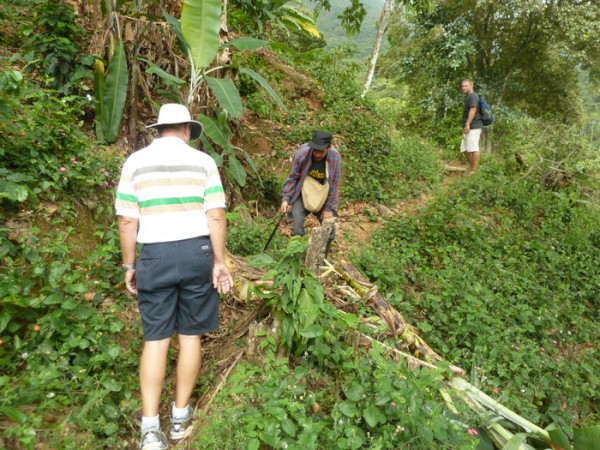 Maynard and Michael on the track up to the coffee farm before it started raining.  Charly is hacking at a fallen banana plant with his machete to clear it off the track