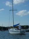 "Passing Wind" heading out for a sail.  Note his bird deterrant on the shrouds.  Huntington Harbor, Long Island, New York, USA