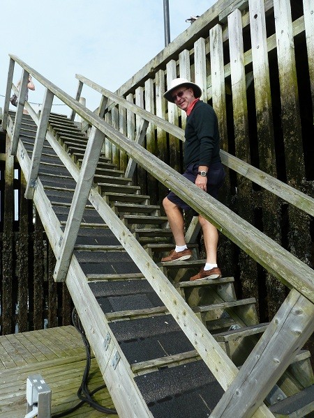 At low tide, you can walk up these stairs at the marina.