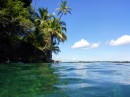 Snorkelling at Hospital Point, 2 miles from Red Frog Marina, Bocas del Toro