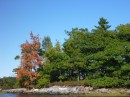 Do you think this means anything now that the trees are turning red??? nr Snow Island, Maine, USA