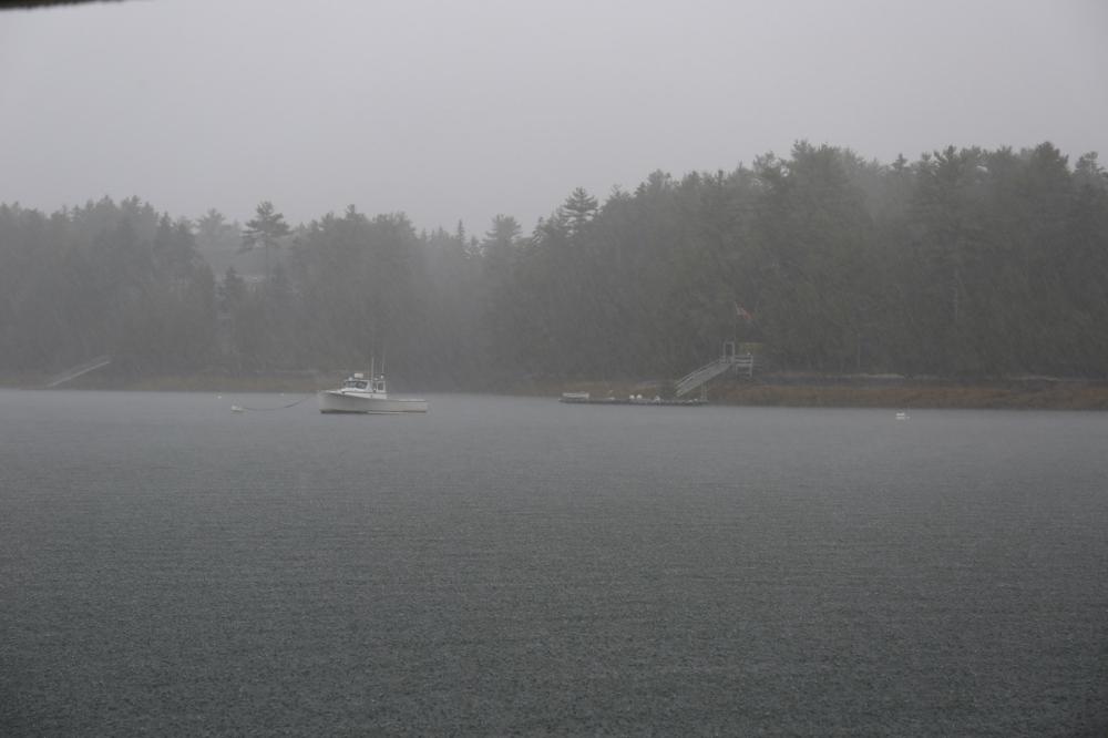 Cold and rainy day in Maine, USA
